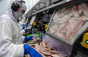  Receita na exportação de pescados do Paraná cresce mais de 4.600% em cinco anos